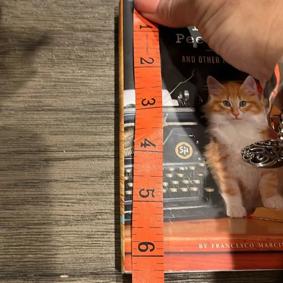 Book of Cat Poems “I could Pee On This” by Francisco Marciuliano - Picture 5 of 6